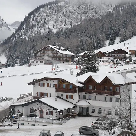 Scoiattolo Selva di Val Gardena