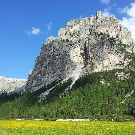 Scoiattolo Selva di Val Gardena